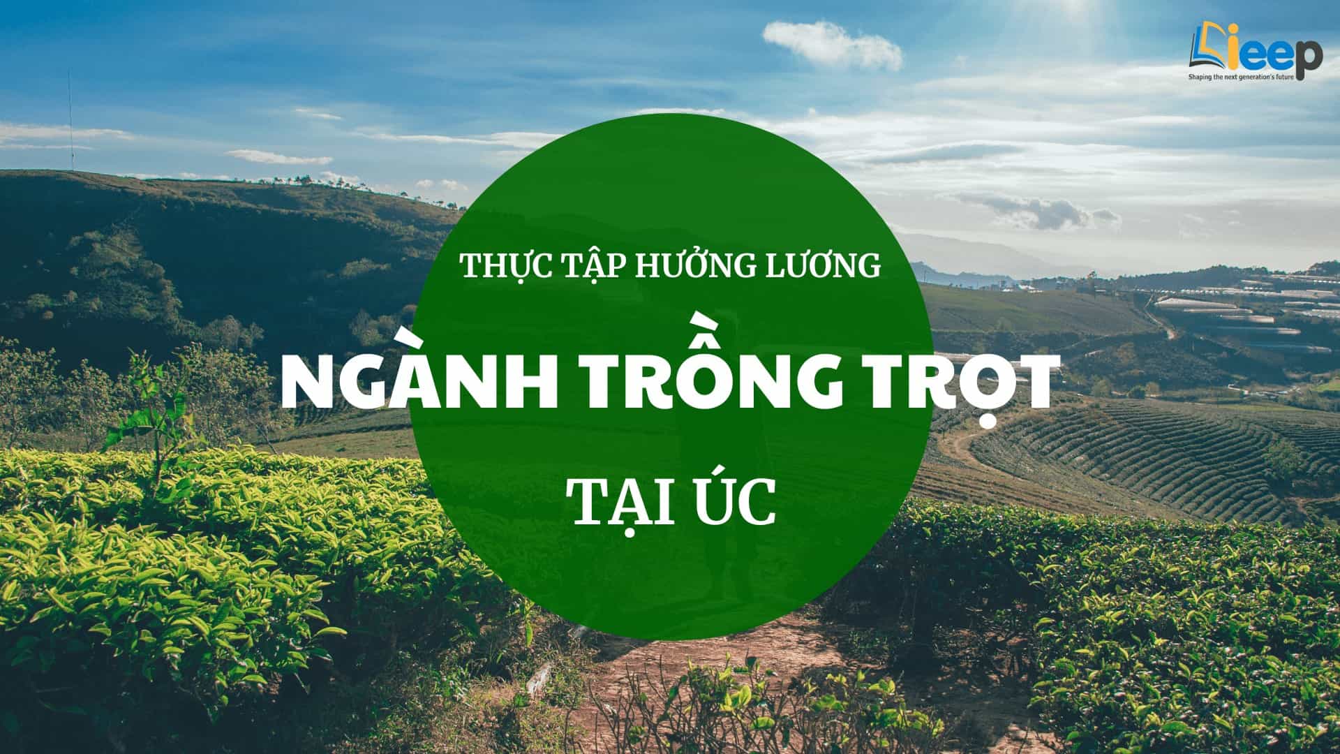 ngành trồng trọt úc.jpg